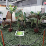 Rozpoczęły się Targi Edukacja. / Wojciech Habdas / Radio Kielce