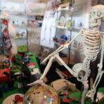 Rozpoczęły się Targi Edukacja. / Wojciech Habdas / Radio Kielce