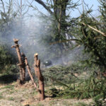 Rekonstrukcja historyczna obrony Westerplatte. / Wojciech Habdas / Radio Kielce
