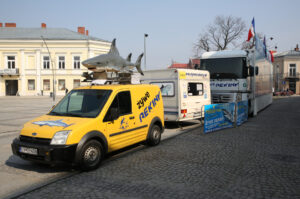 Żywe rekiny na kieleckim Rynku / Kamil Król / Radio Kielce