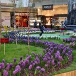 Wiosna w Galerii Korona. Zapach i piękna zieleń. / Stanisław Blinstrub / Radio Kielce