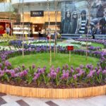 Wiosna w Galerii Korona. Zapach i piękna zieleń. / Stanisław Blinstrub / Radio Kielce