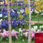 Wiosna w Galerii Korona. Zapach i piękna zieleń. / Stanisław Blinstrub / Radio Kielce