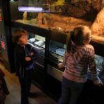 Audycja Dzień Dobry Dzieci ze sklepu zoologicznego FAUN ZOO, mieszczącego się w kieleckiej Galerii Korona / Piotr Michalski / Radio Kielce