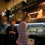 Audycja Dzień Dobry Dzieci ze sklepu zoologicznego FAUN ZOO, mieszczącego się w kieleckiej Galerii Korona / Piotr Michalski / Radio Kielce