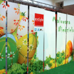 "Malowana Niedziela" w Galerii Echo / Kamil Król / Radio Kielce