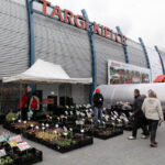 Targi Kielce - Dom Ogrod i Ty / Wojciech Habdas / Radio Kielce