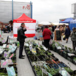 Targi Kielce - Dom Ogrod i Ty / Wojciech Habdas / Radio Kielce