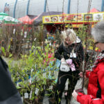 Targi Kielce - Dom Ogrod i Ty / Wojciech Habdas / Radio Kielce