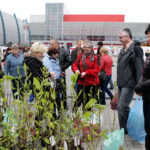 Targi Kielce - Dom Ogrod i Ty / Wojciech Habdas / Radio Kielce