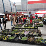 Targi Kielce - Dom Ogrod i Ty / Wojciech Habdas / Radio Kielce