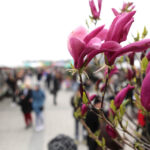 Targi Kielce - Dom Ogrod i Ty / Wojciech Habdas / Radio Kielce