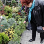 Targi Kielce - Dom Ogrod i Ty / Wojciech Habdas / Radio Kielce