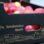 Przewodniczący SLD Leszek Miller przyjechał we wtorek do Kielc i Starachowic specjalnym autobusem. / Wojciech Habdas / Radio Kielce