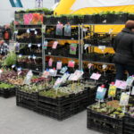 Targi Agrotravel 2014 / Krzysztof Żołądek / Radio Kielce