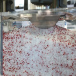 Targi Plastpol / Krzysztof Żołądek / Radio Kielce