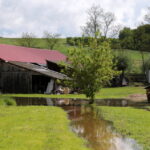 Dobrocice / Krzysztof Żołądek / Radio Kielce