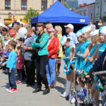 Uroczystości 10 rocznicy wstąpienia Polski do Unii Europejskiej zorganizowane przez wojewodę świętokrzyskiego / Kamil Król / Radio Kielce