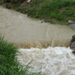 W Krajnie woda zalała plantacje truskawek / Kamil Król / Radio Kielce