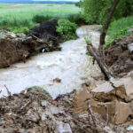 W Krajnie woda zalała plantacje truskawek / Kamil Król / Radio Kielce