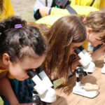 Zlot Zielonych Patroli / Kamil Król / Radio Kielce