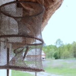 Wytopy Ołowiu w Parku Etnograficznym w Tokarni / Krzysztof Żołądek / Radio Kielce