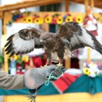 9 Jarmark Świętokrzyski na Świętym Krzyżu / Stanisław Blinstrub / Radio Kielce