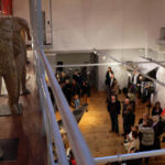 Wystawa "Abakanów" w Galerii Sztuki Współczesnej "Winda" w Kieleckim Centrum Kultury zainaugurowała festiwal Mody Off Fashion / Wojciech Habdas / Radio Kielce