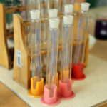 Dzień otwarty w III LO im. Cypriana Kamila Norwida / Wojciech Habdas / Radio Kielce