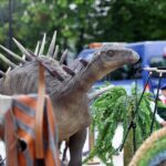 Piknik Europejski TVP na ulicy Sienkiewicza w Kielcach / Stanisław Blinstrub / Radio Kielce