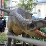 Piknik Europejski TVP na ulicy Sienkiewicza w Kielcach / Stanisław Blinstrub / Radio Kielce