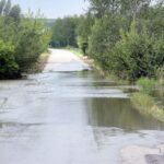 W miejscowości Przezwody w gminie Wilczyce wylała niewielka rzeka Opatówka / Robert Felczak / Radio Kielce