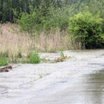 W miejscowości Przezwody w gminie Wilczyce wylała niewielka rzeka Opatówka / Robert Felczak / Radio Kielce