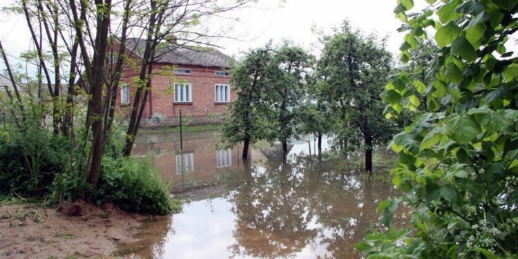 W miejscowości Przezwody w gminie Wilczyce wylała niewielka rzeka Opatówka / Robert Felczak / Radio Kielce