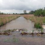 W miejscowości Przezwody w gminie Wilczyce wylała niewielka rzeka Opatówka / Robert Felczak / Radio Kielce