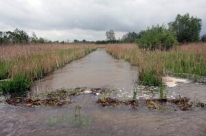 W miejscowości Przezwody w gminie Wilczyce wylała niewielka rzeka Opatówka / Robert Felczak / Radio Kielce