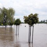 Podtopienia w Sandomierzu / Robert Felczak / Radio Kielce