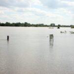 Podtopienia w Sandomierzu / Robert Felczak / Radio Kielce