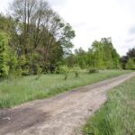 Na Białogonie ma powstać zbiornik retencyjno-rekreacyjny tereny na których powstanie zbiornik / Stanisław Blinstrub / Radio Kielce