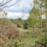 Na Białogonie ma powstać zbiornik retencyjno-rekreacyjny - tereny przeznaczone pod akwen / Stanisław Blinstrub / Radio Kielce