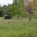 Na Białogonie ma powstać zbiornik retencyjno-rekreacyjny - tereny przeznaczone pod akwen / Stanisław Blinstrub / Radio Kielce