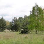 Na Białogonie ma powstać zbiornik retencyjno-rekreacyjny - tereny przeznaczone pod akwen / Stanisław Blinstrub / Radio Kielce