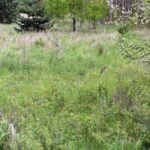 Na Białogonie ma powstać zbiornik retencyjno-rekreacyjny - tereny przeznaczone pod akwen / Stanisław Blinstrub / Radio Kielce