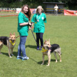 Europejska Wystawa Psów Rasowych / Piotr Michalski / Radio Kielce