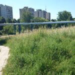 Koszenie terenów zielonych w Kielcach (12 czerwca 2014 r.) / Paweł Klepka / Radio Kielce