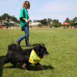 Europejska Wystawa Psów Rasowych / Piotr Michalski / Radio Kielce