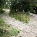 Koszenie terenów zielonych w Kielcach (20 czerwca 2014 r.) / Piotr Michalski / Radio Kielce