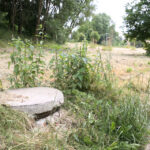 Koszenie terenów zielonych w Kielcach (20 czerwca 2014 r.) / Piotr Michalski / Radio Kielce