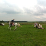 220 rocznica Bitwy pod Szczekocinami. / Ewa Gawęda / Radio Kielce