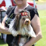 Europejska Wystawa Psów Rasowych / Piotr Michalski / Radio Kielce